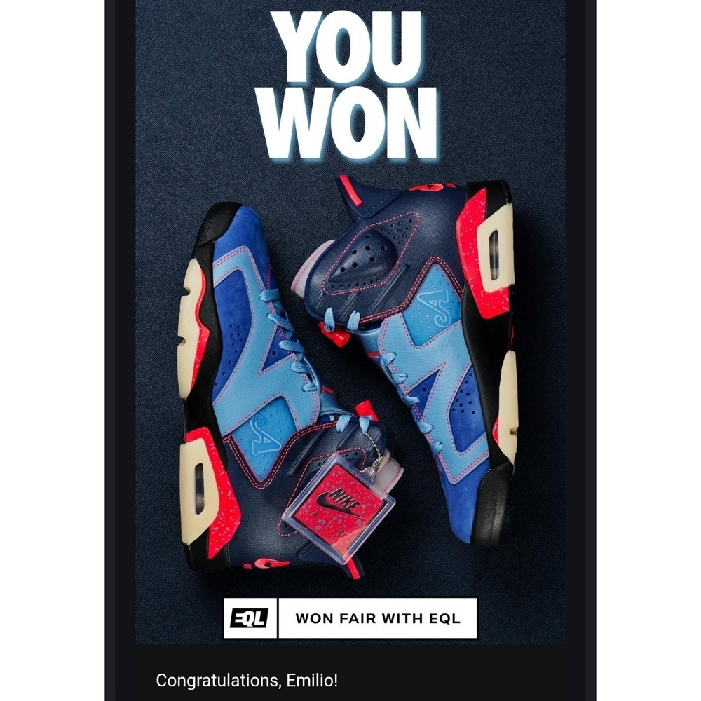 AWAKE NY "Blueberry" Jordan 6s. Size 10m Confirmed Order/Presale